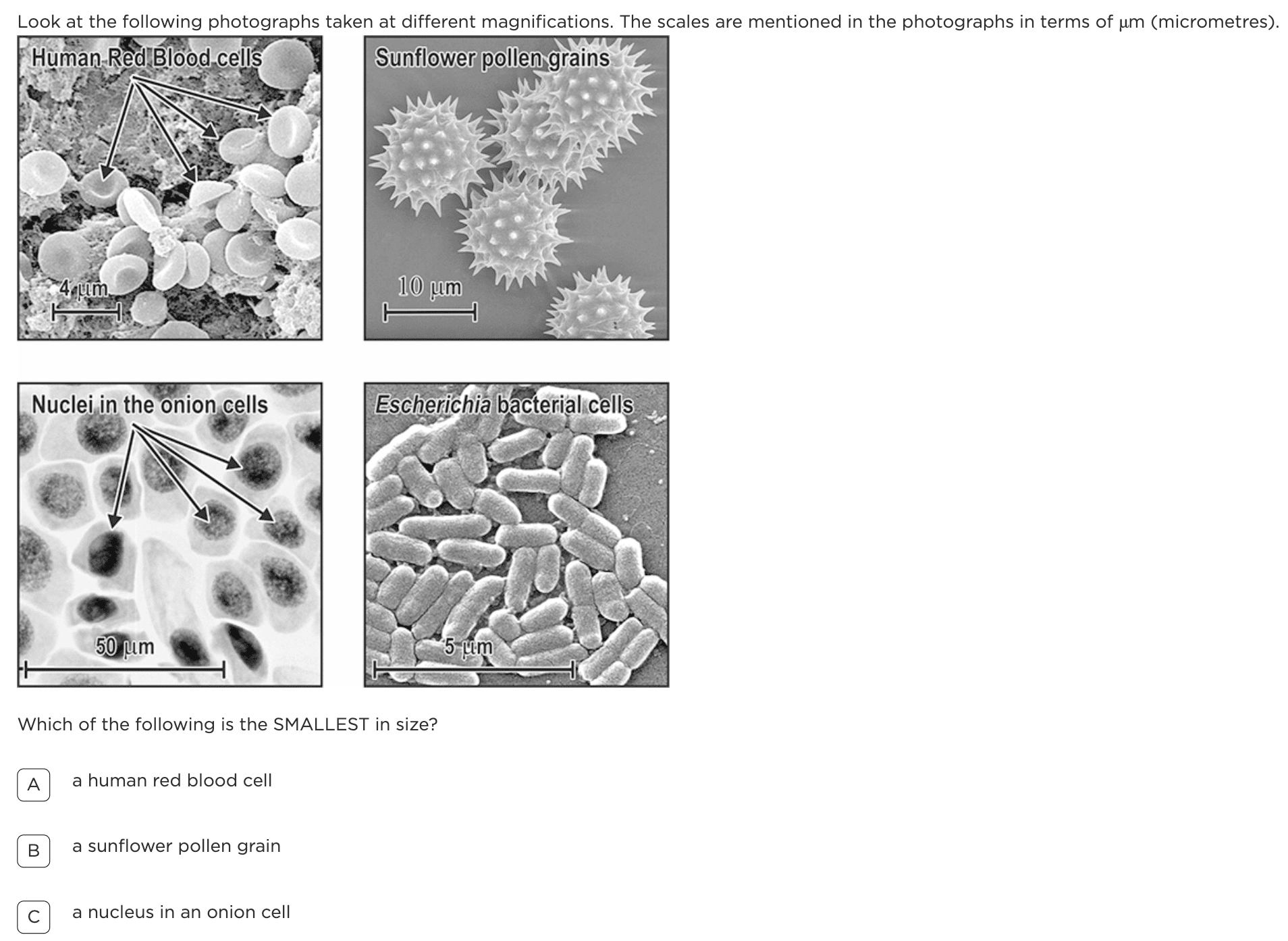 image-20251203-121254